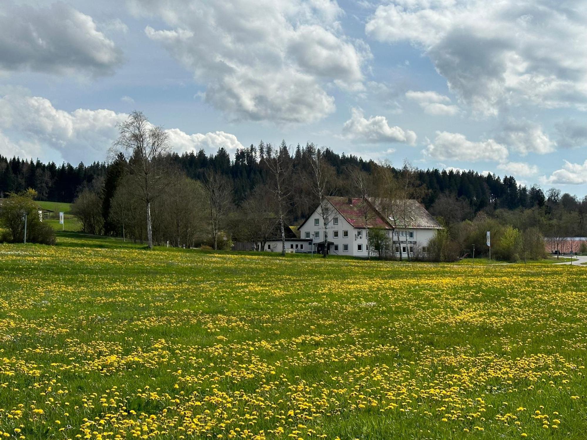 Zum Bayrischen Wirt Hotel Maierhöfen Buitenkant foto